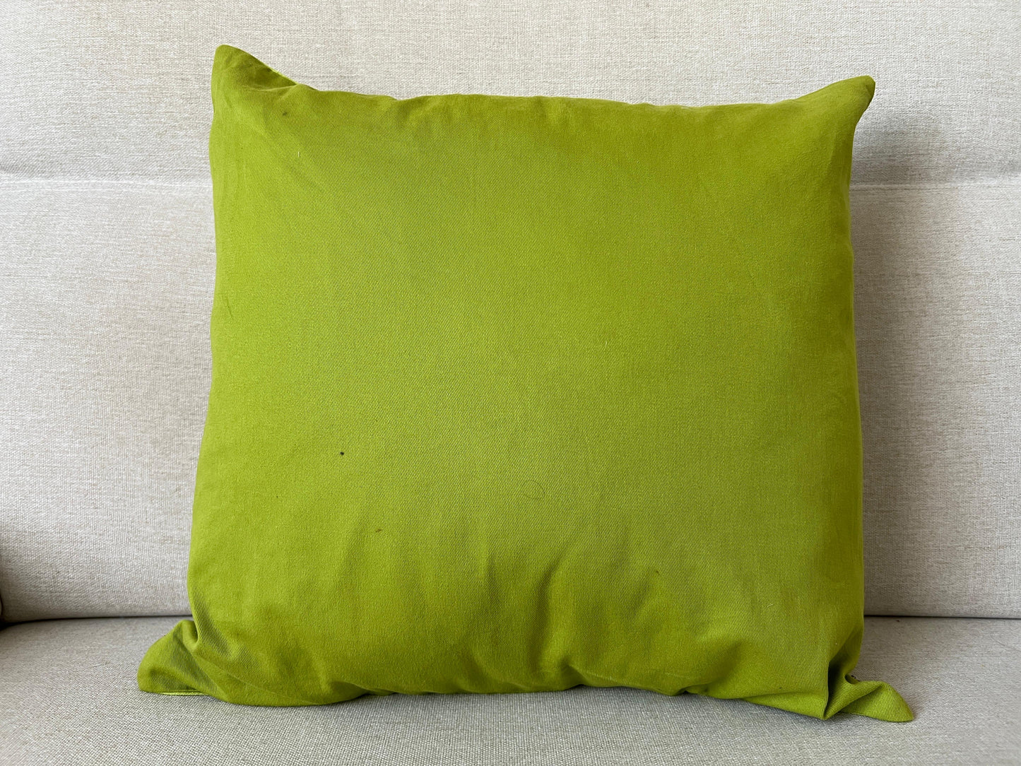 Suzani Pure Silk cushion