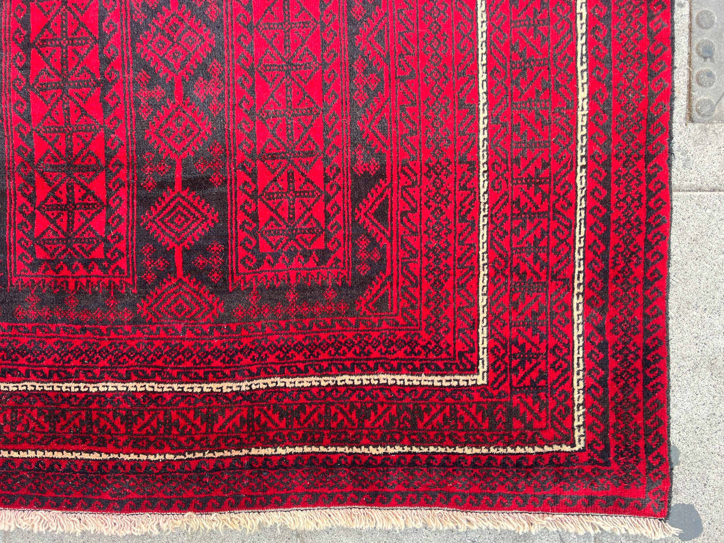 Oriental Rug.