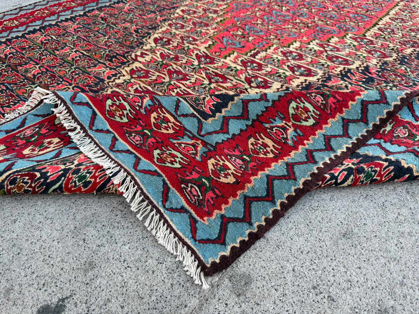 Seena Kurdi Kilim 260x150cm