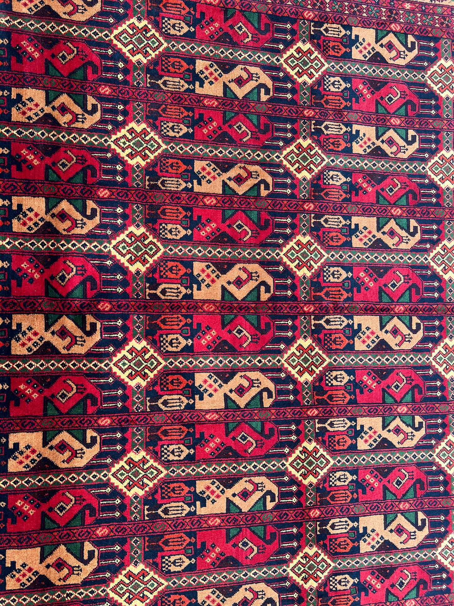 Oriental Rug.