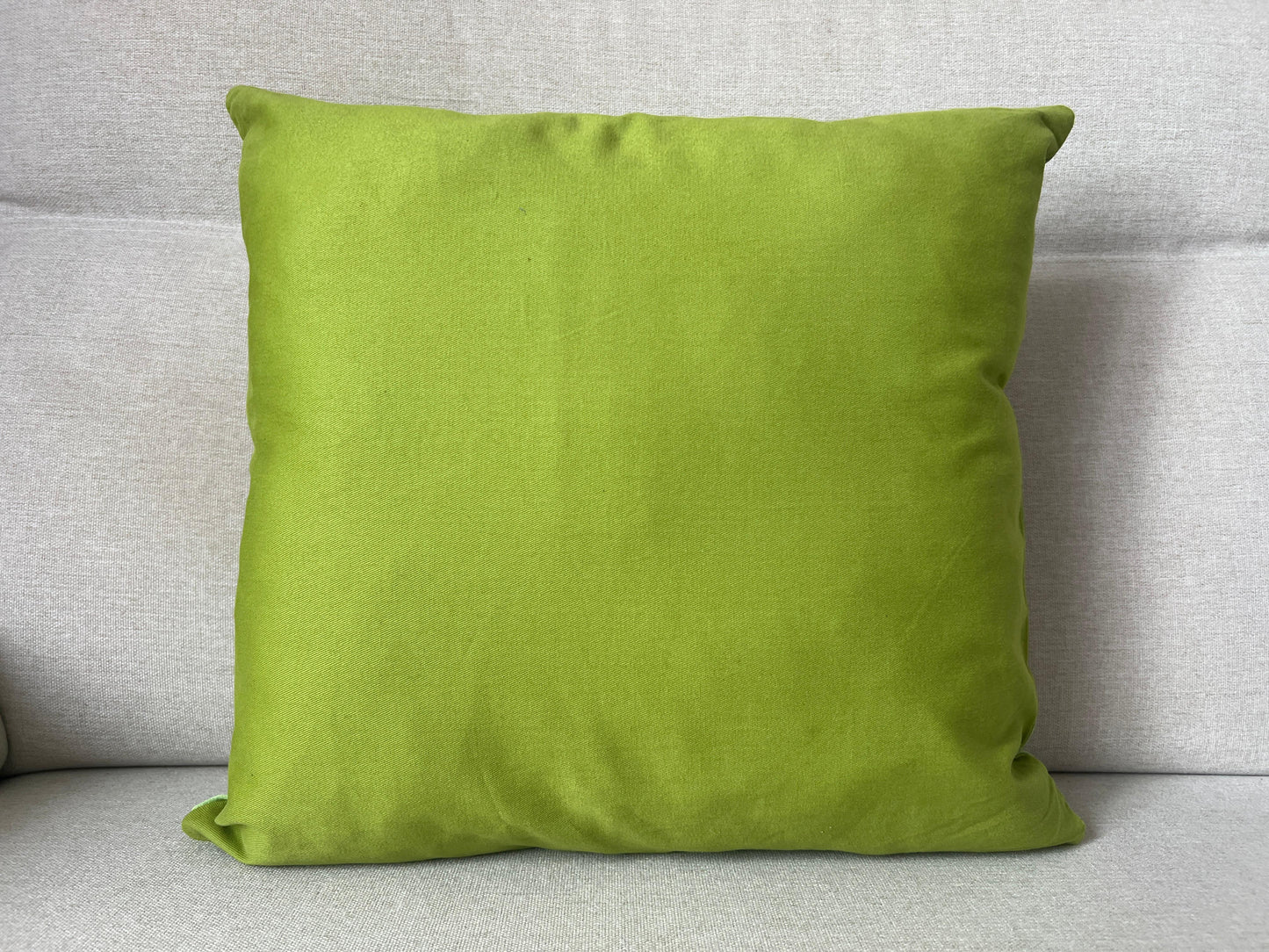 Suzani Pure Silk cushion