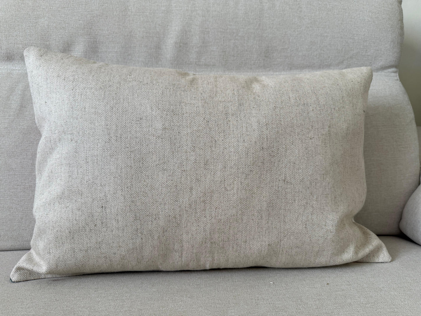 Ikat velvet cushion Hand made (40x60cm)