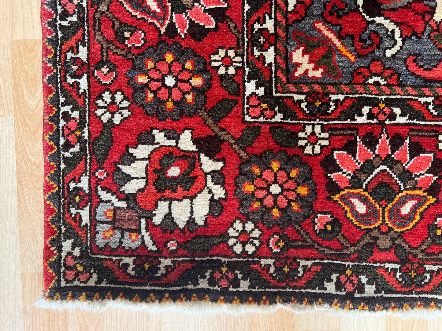 Oriental Rug.