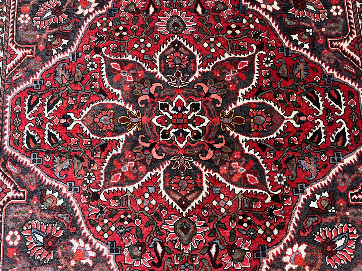 Oriental Rug.