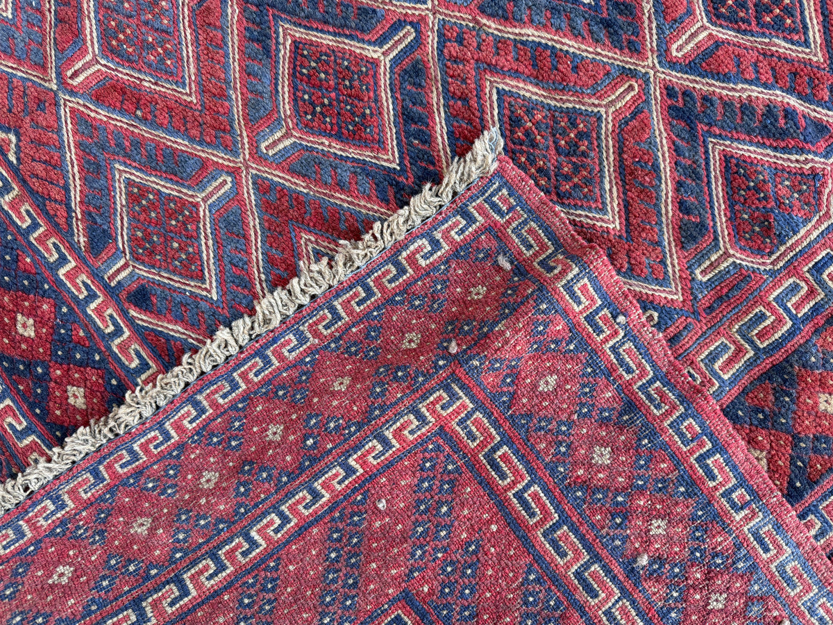 Mushwani Kilim 252x190cm