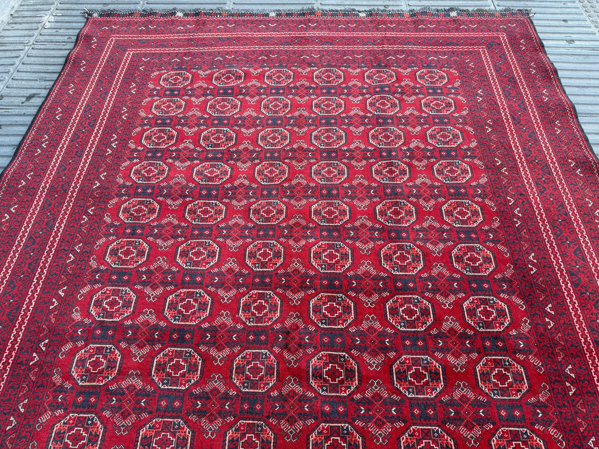 Maranoos rug 290x195cm