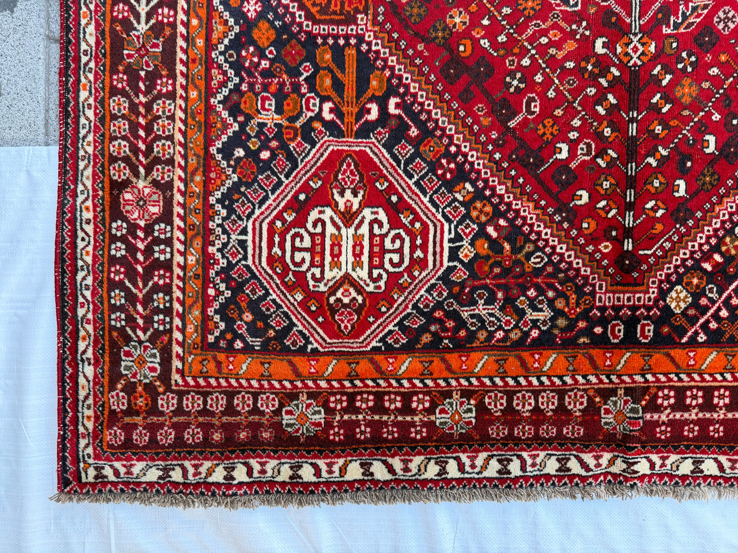 Oriental rug 245x160cm