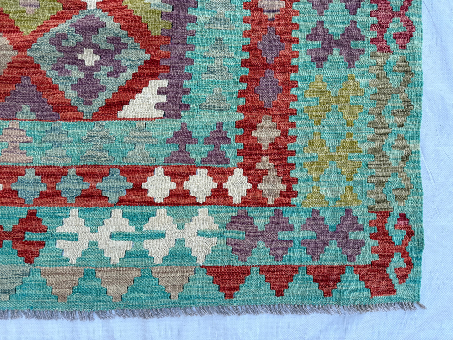 Afghan Maimana kilim 490x313cm