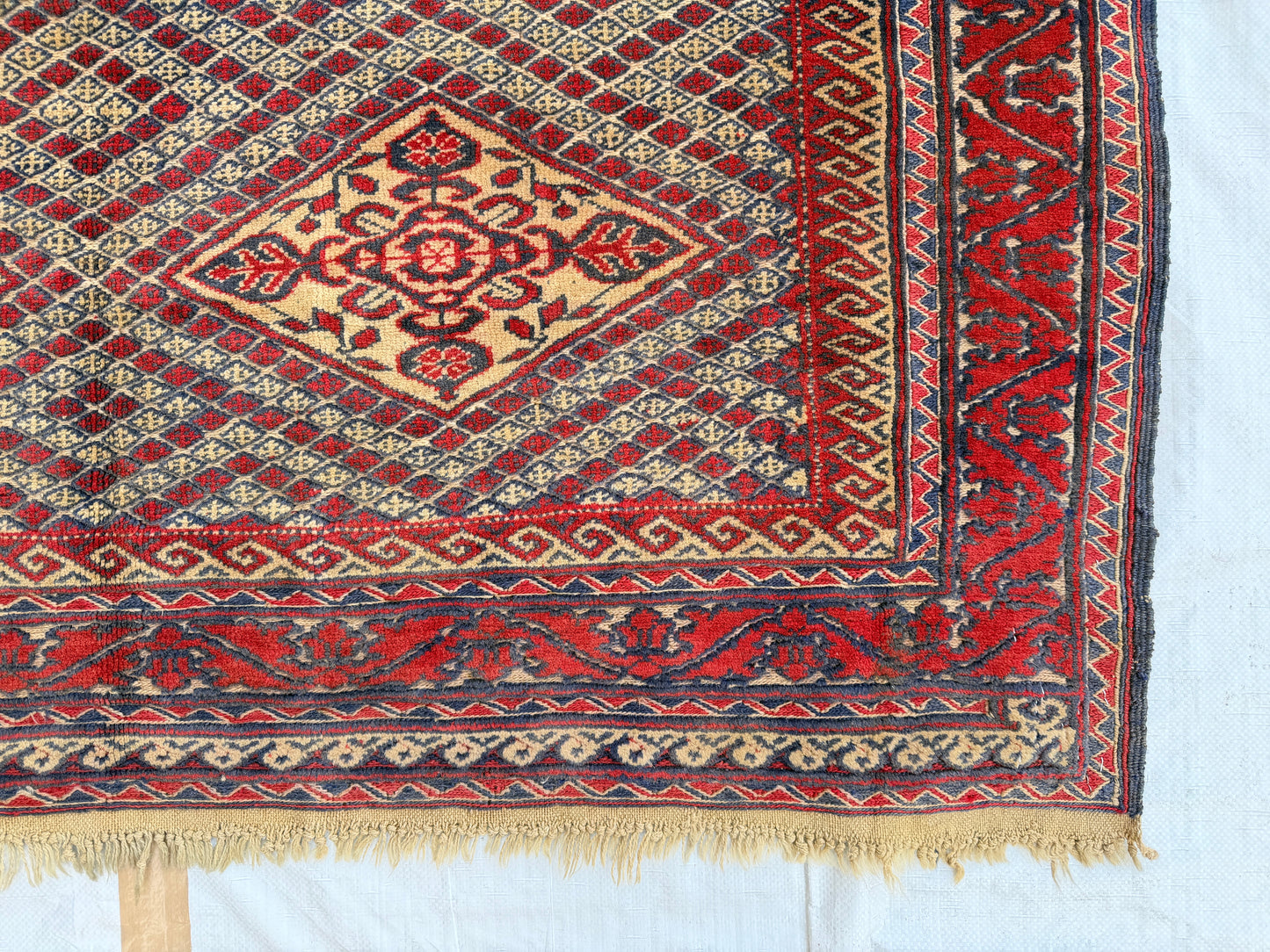 Mushwani kilim 160x150cm