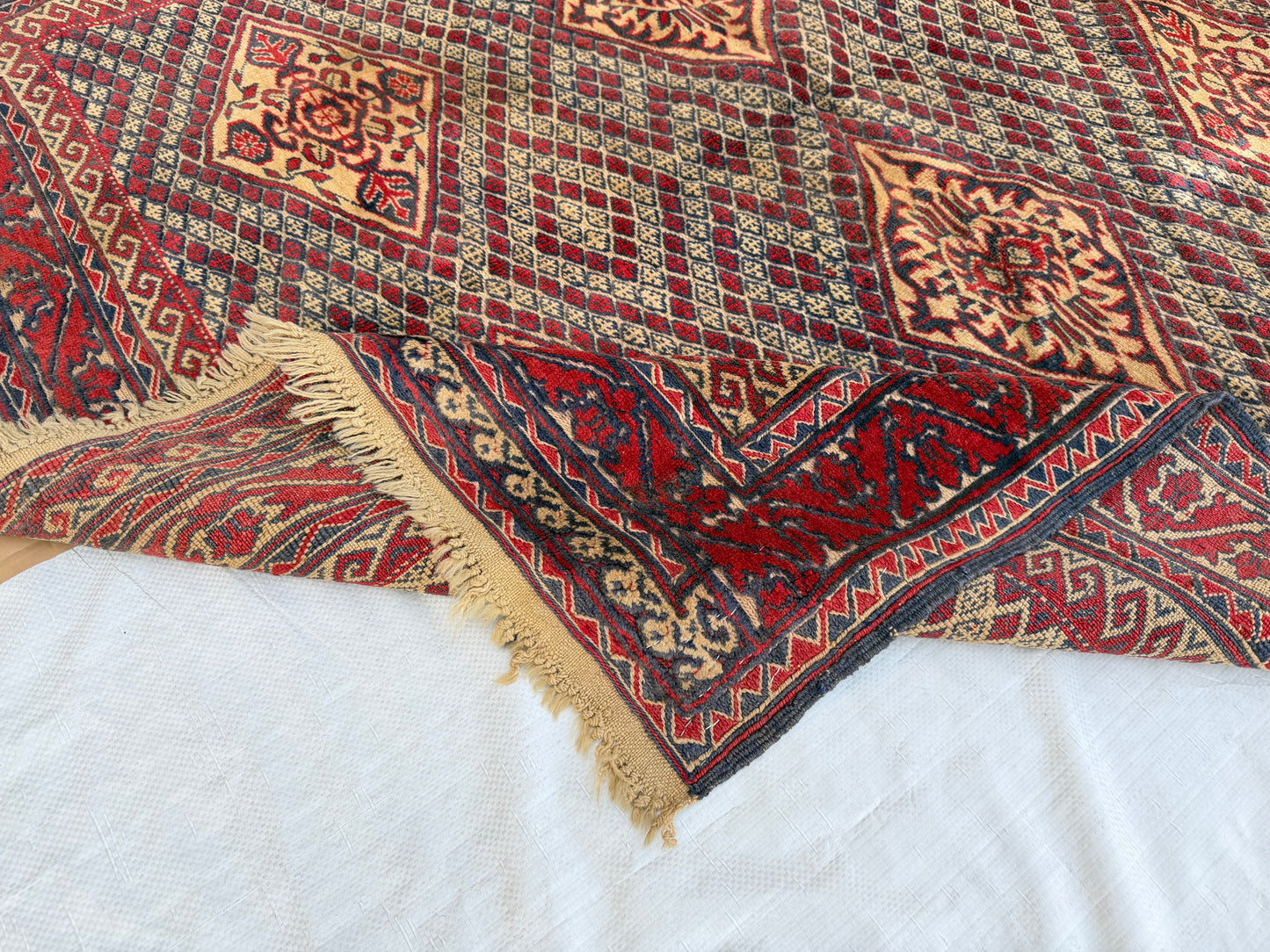 Mushwani kilim 160x150cm