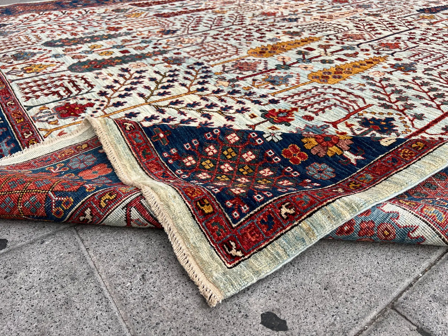 Oriental Hand knotted Rug