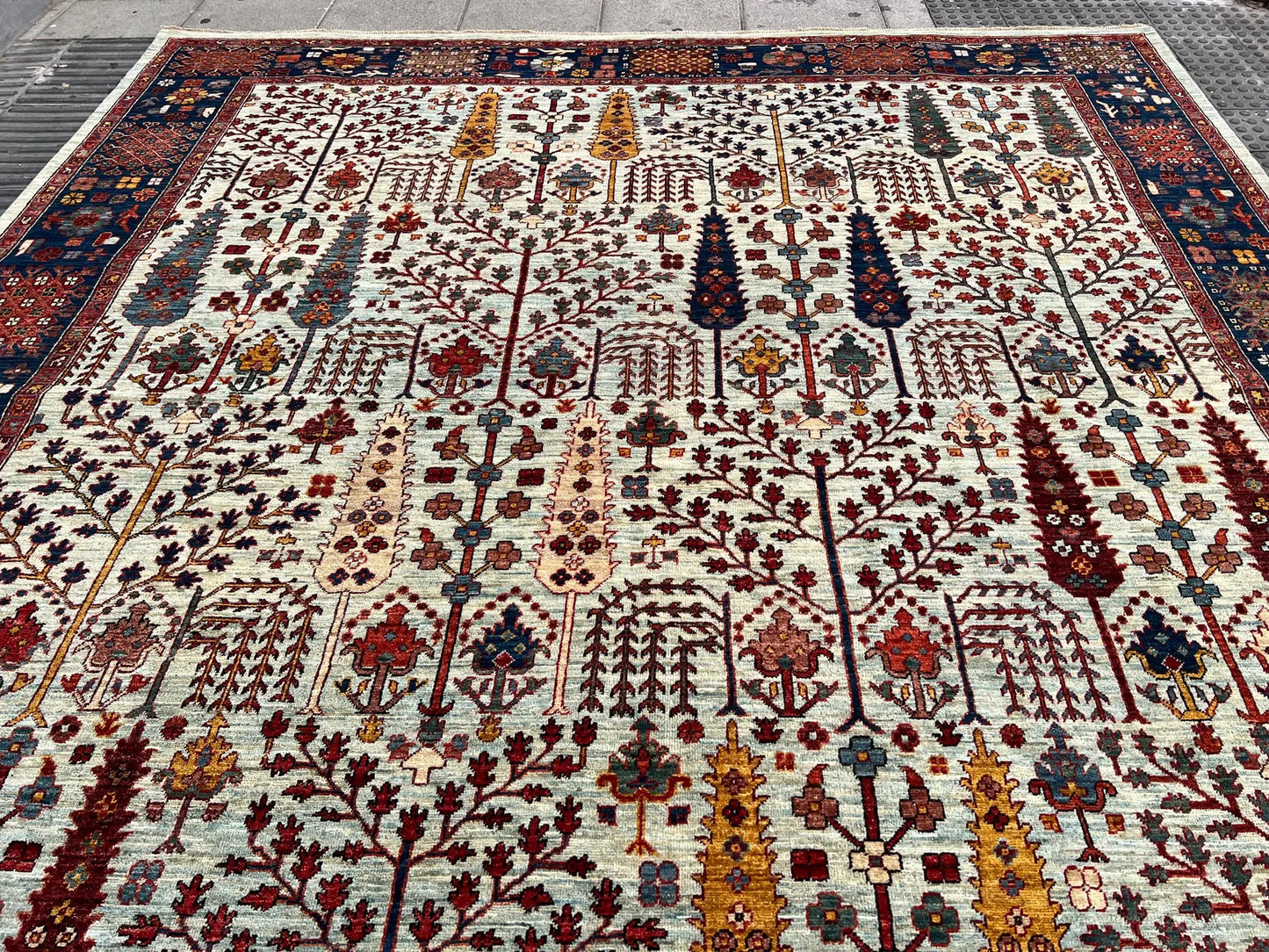 Oriental Hand knotted Rug